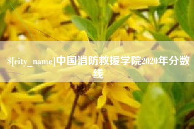 保亭中国消防救援学院2020年分数线