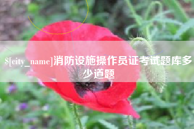 保亭消防设施操作员证考试题库多少道题