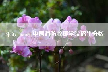 保亭中国消防救援学院招生分数