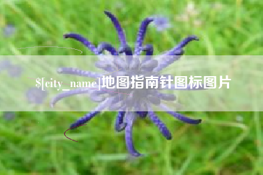 保亭地图指南针图标图片