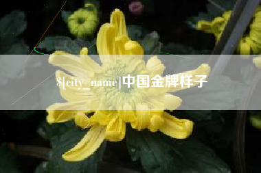 保亭中国金牌样子
