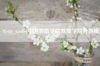 保亭中国消防学院救援学院分数线