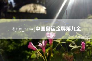 保亭中国奥运金牌第九金