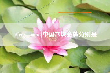 保亭中国六块金牌分别是