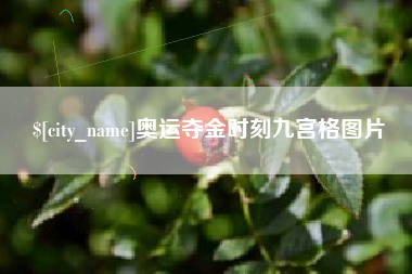 保亭奥运夺金时刻九宫格图片