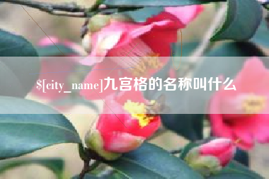 保亭九宫格的名称叫什么