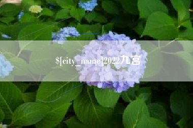 保亭2022九宫