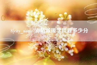 保亭消防救援学院要多少分