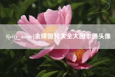 保亭金牌图片大全大图卡通头像