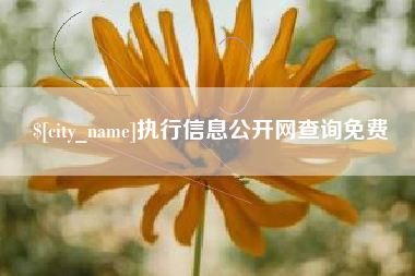 保亭执行信息公开网查询免费