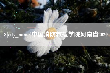保亭中国消防救援学院河南省2020